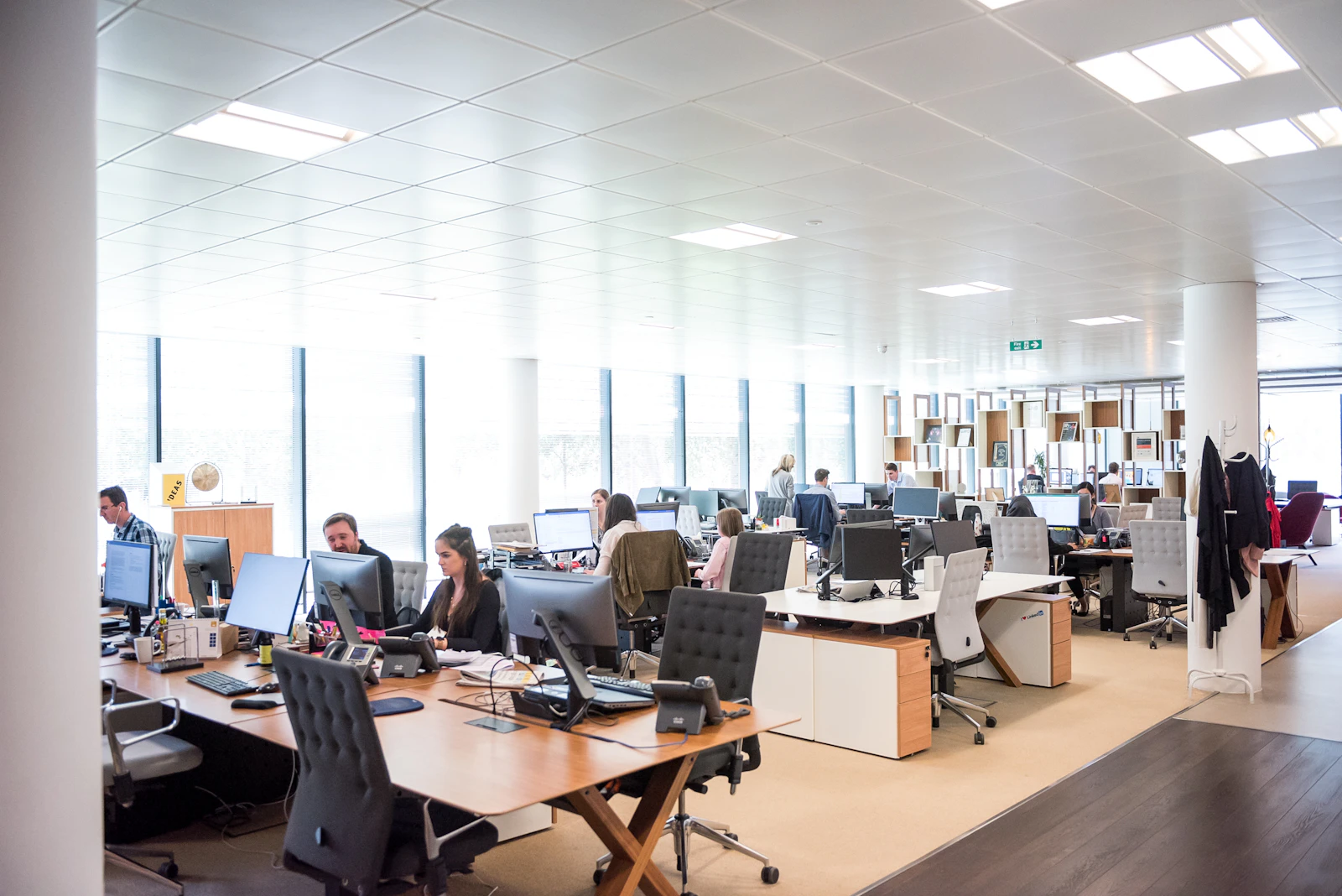 An open-plan office with desks running back from a full-height window wall